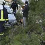 Video & Photo Gallery After the Strong Storm: Lucy in the Sky, Chaos on the Streets 13 Cyclone Luce Storng Storm 20