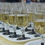 Video & Photo Gallery: Traditional Concert by Dubrovnik Symphony Orchestra 8 DSO Oysters Champaigne 21