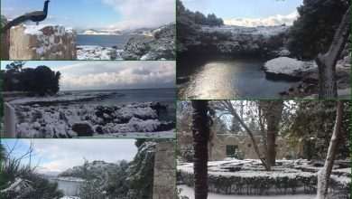 Photo Gallery: Winter Fairy Tale on Lokrum Island 38 Lokrum Main