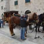 Robin Hood Stradun 20