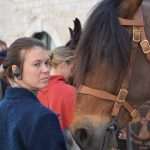 Robin Hood Stradun 35