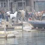 RobinHood Second Day 65