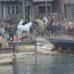 RobinHood Second Day 67