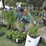 Photo Gallery: Beautiful Flower Fair to Mark the Spring Time 10 Flower Fair 10