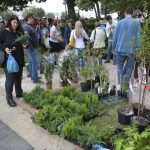 Photo Gallery: Beautiful Flower Fair to Mark the Spring Time 11 Flower Fair 11