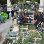 Photo Gallery: Beautiful Flower Fair to Mark the Spring Time 14 Flower Fair 14