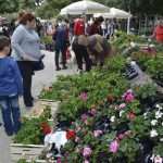 Photo Gallery: Beautiful Flower Fair to Mark the Spring Time 15 Flower Fair 15