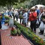 Photo Gallery: Beautiful Flower Fair to Mark the Spring Time 16 Flower Fair 16