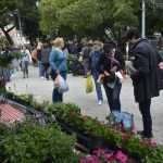 Photo Gallery: Beautiful Flower Fair to Mark the Spring Time 18 Flower Fair 18