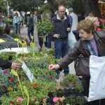 Photo Gallery: Beautiful Flower Fair to Mark the Spring Time 19 Flower Fair 19