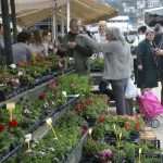 Photo Gallery: Beautiful Flower Fair to Mark the Spring Time 2 Flower Fair 2