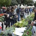 Photo Gallery: Beautiful Flower Fair to Mark the Spring Time 20 Flower Fair 20