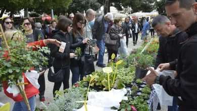Photo Gallery: Beautiful Flower Fair to Mark the Spring Time 1 Flower Fair 20