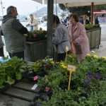 Photo Gallery: Beautiful Flower Fair to Mark the Spring Time 3 Flower Fair 3