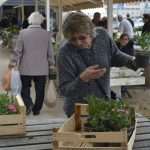 Photo Gallery: Beautiful Flower Fair to Mark the Spring Time 5 Flower Fair 5