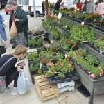 Photo Gallery: Beautiful Flower Fair to Mark the Spring Time 9 Flower Fair 9