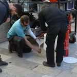 Jamie Dornan on Set 50