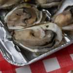 Oysters Fest 7