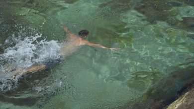 Spring Swimming Stradun 20