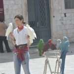 Photo Gallery: Perfect Days in Dubrovnik, Even For Swimming! 26 Spring Swimming Stradun 26