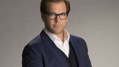 Michael Weatherly NEM
