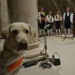 Photo Gallery: Ten Years of Dubrovnik's Most Popular Klapa, 'Kaše' 7 A capella Choir Kase 7