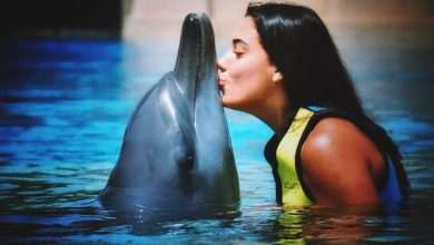 The Princess of Wimbledon Enjoys Her Vacation in Dubai 2 Ana Konjuh With Dolphins