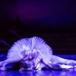 The Swan Lake Ballet 2