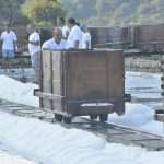 Salt Collecting Ston 12