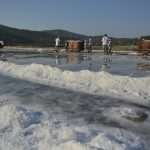Salt Collecting Ston 16