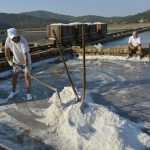 Salt Collecting Ston 17