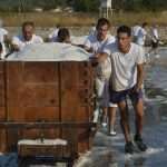 Salt Collecting Ston 18