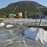 Salt Collecting Ston 19