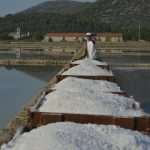 Salt Collecting Ston 21