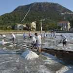 Salt Collecting Ston 23