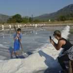 Salt Collecting Ston 24