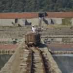 Salt Collecting Ston 25