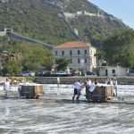 Salt Collecting Ston 34