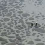 Salt Collecting Ston 40