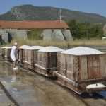 Salt Collecting Ston 41