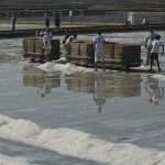 Salt Collecting Ston 48