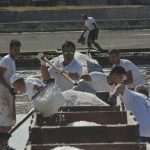 Salt Collecting Ston 50