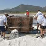 Salt Collecting Ston 56