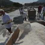 Salt Collecting Ston 58