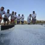 Salt Collecting Ston 6