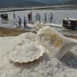 Salt Collecting Ston 62