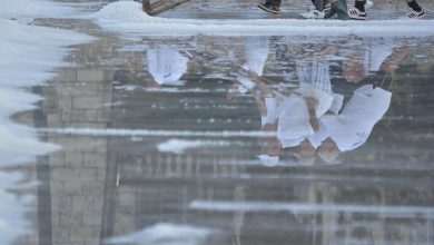 Video and Photo Gallery: We Spent a Day in a Saltern Ston Picking Up 'Fleur de Sel'... 32 Salt Collecting Ston 65