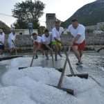 Salt Collecting Ston 8