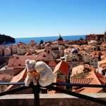 Meet the Sweetest Couple: Ernst Ingo Siegfried Bär and Mimi 3 Ernst the Bear and Mimi the Cat 3