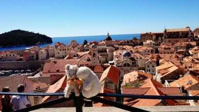 Ernst the Bear and Mimi the Cat 3